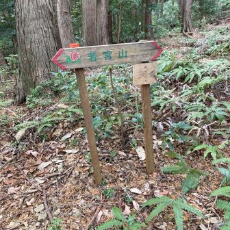 若宮山⛰️〜250㍍
名古屋に若宮商業という高校がある🏫