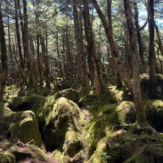 THE 八ヶ岳