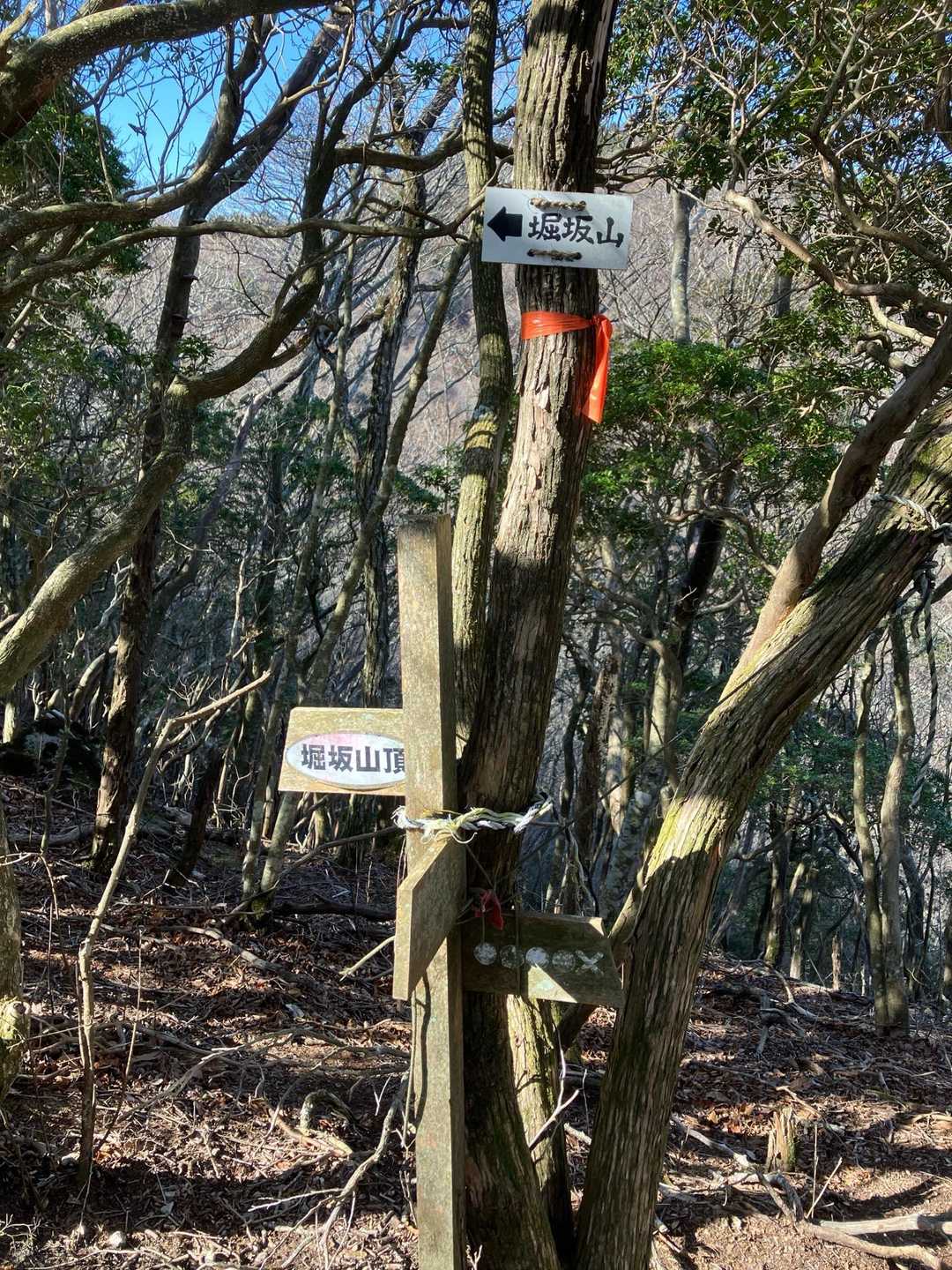 雲母谷の高-堀坂山 往復コースの写真