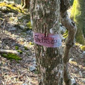 2番目のピーク、威徳山
手作り感あふれる山頂標識、ここで朝食