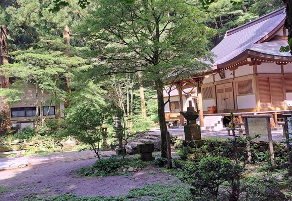 多良岳（佐賀・983m）| 登山ルート・天気 | YAMAP / ヤマップ