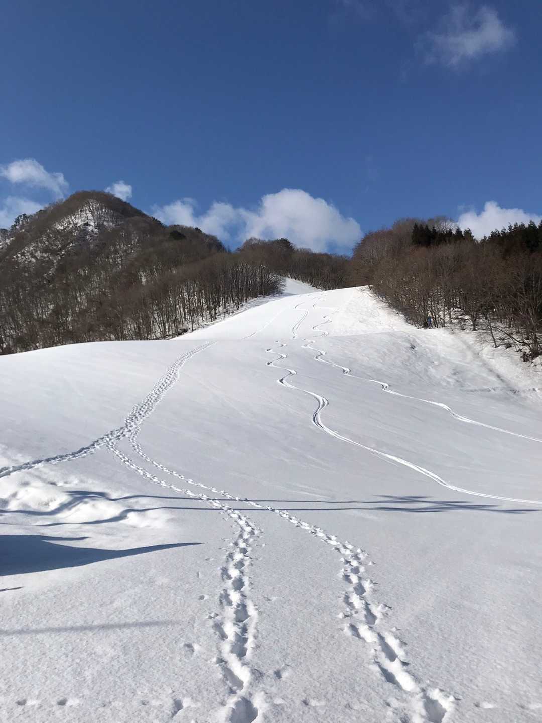 貸し切り快晴！