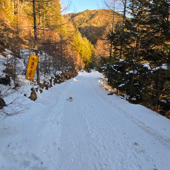桜平登山口（夏沢鉱泉）まで歩きます
今シーズン初めてという登山者もいるはず
あえて、夏沢鉱泉まで連れていかない、山小屋の親心を感じます
ひとしきり、雪道と対話し、明日に備えますφ(．．)
歩行ペースと疲労感の感覚などを確認します(  -。-) =3
なるほど🤫