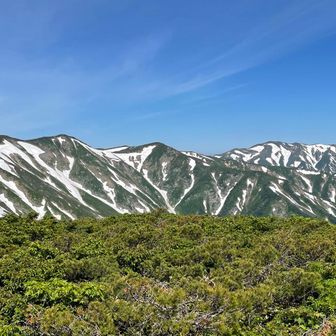 ✨