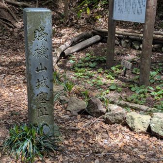 賤機山城より