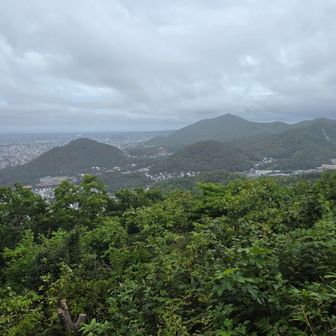 小雨になりました