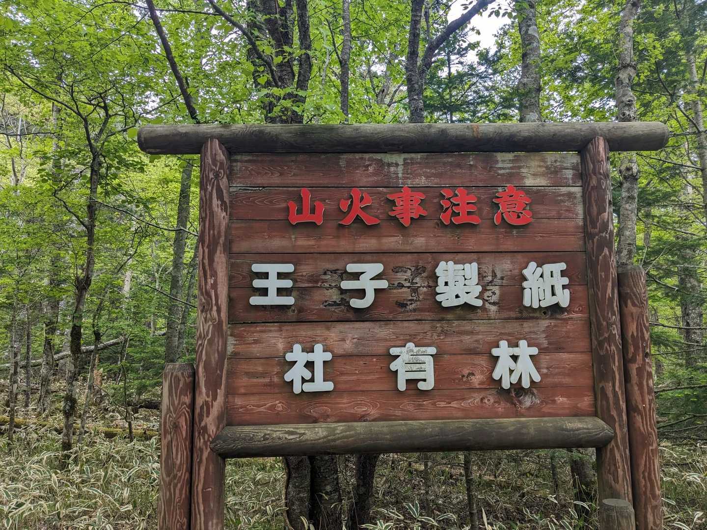 無事下山　ココも王子製紙社有林