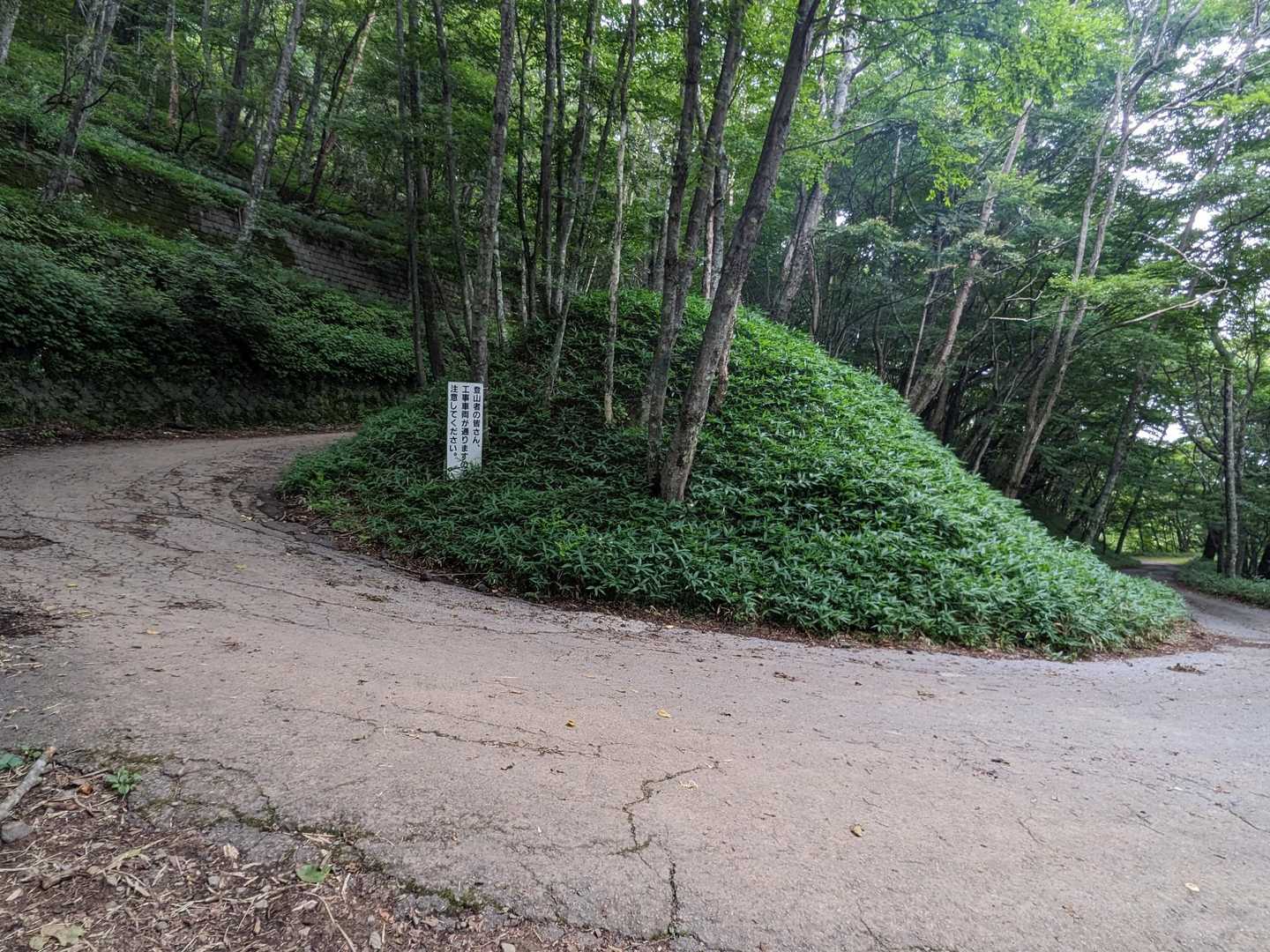 途中の舗装路歩きで一息