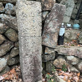 中々歴史的意味がありそうなお山