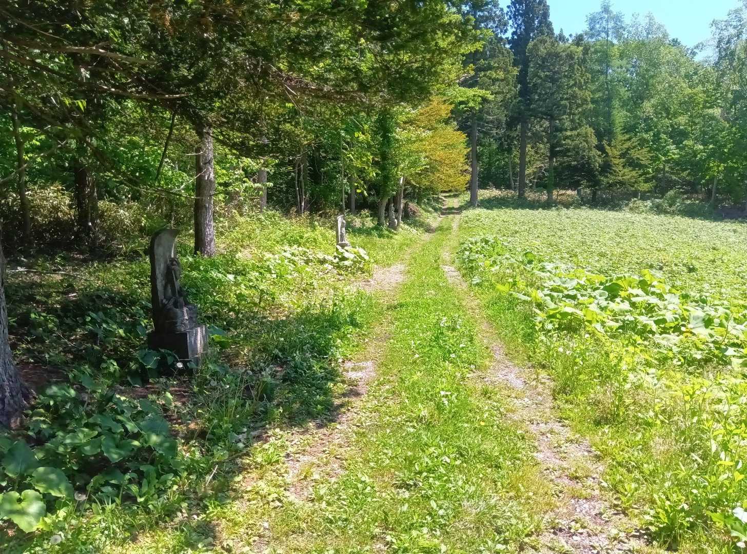 最初は、ほぼ平