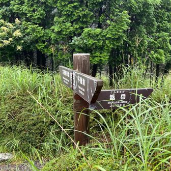 ここを右折すると甑岳へのルート。
甑岳も未踏だ。