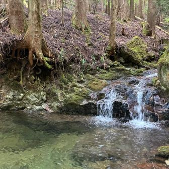 透明な水✨