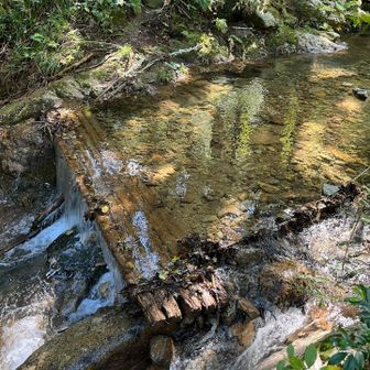 水没になった木製の橋！😭