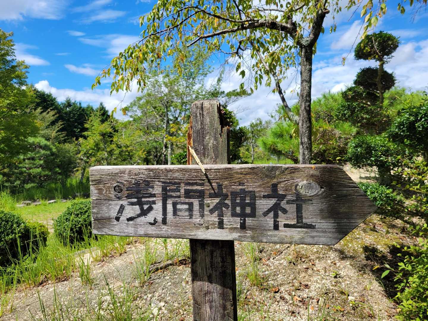 神社が山頂かな！