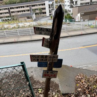 一度、車道に出ます