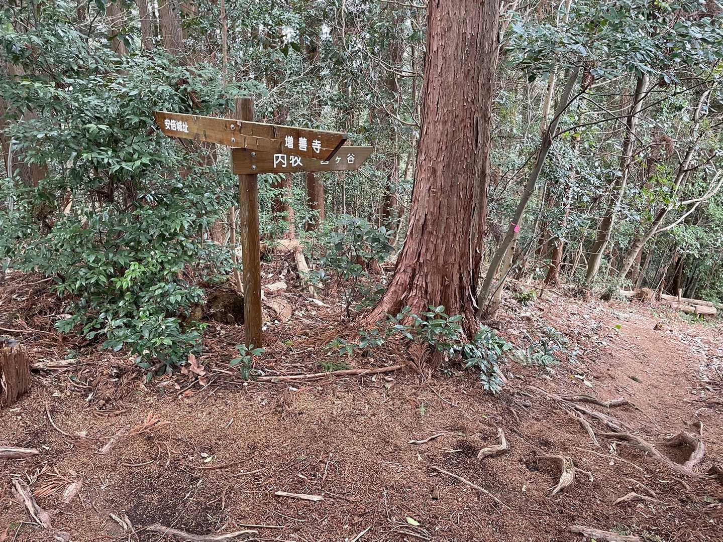 増善寺から登るとここで合流するようです。