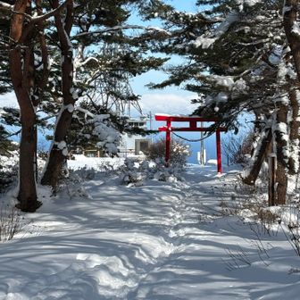 大びらき平へ寄り道

冬は鳥居⛩️が尚いっそう映えます😍