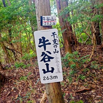大きなプレート牛谷山。⛰️🙌
300mも無い低いピーク2つで滝汗でございます。🥵😭😭