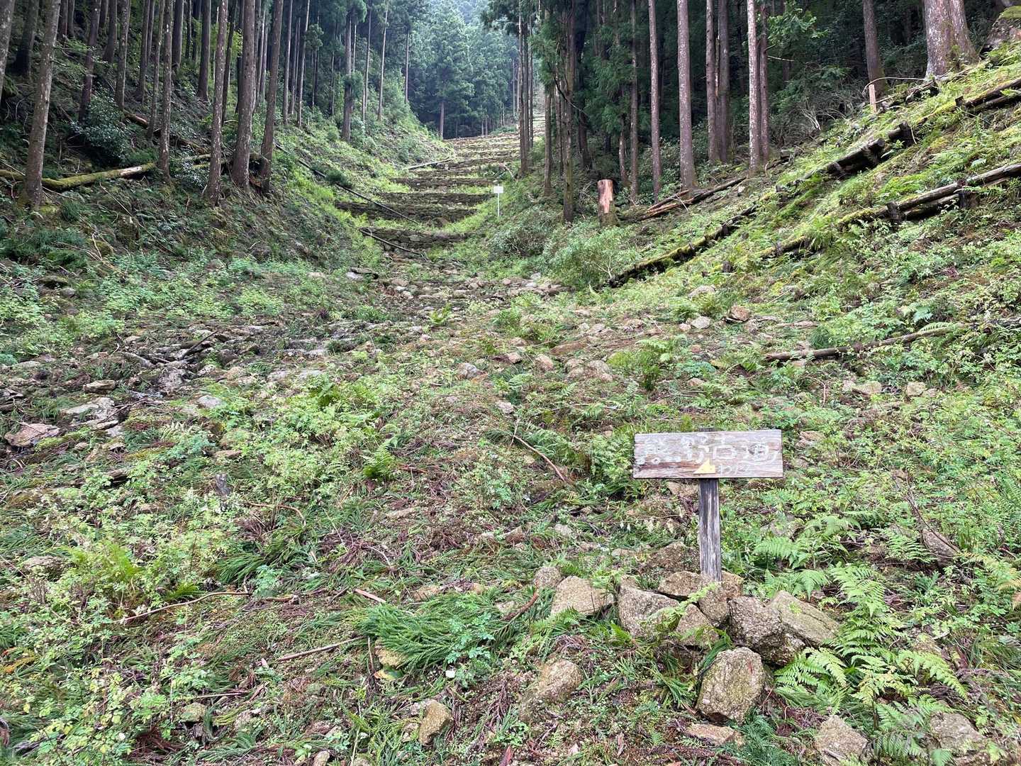 治しておきました