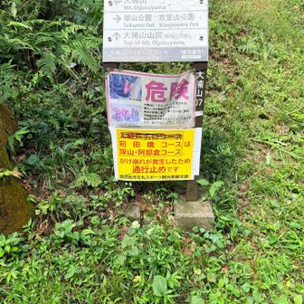 当日はまだYAMAPの地図で通行禁止となっていたため通れますよという証拠のために撮りましたが、今見たら通行禁止はなくなっていました