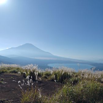 鉄砲ノ木頭(明神山)頂からの富士山