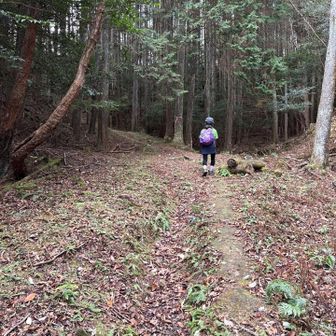 やっと歩きやすい道になりました