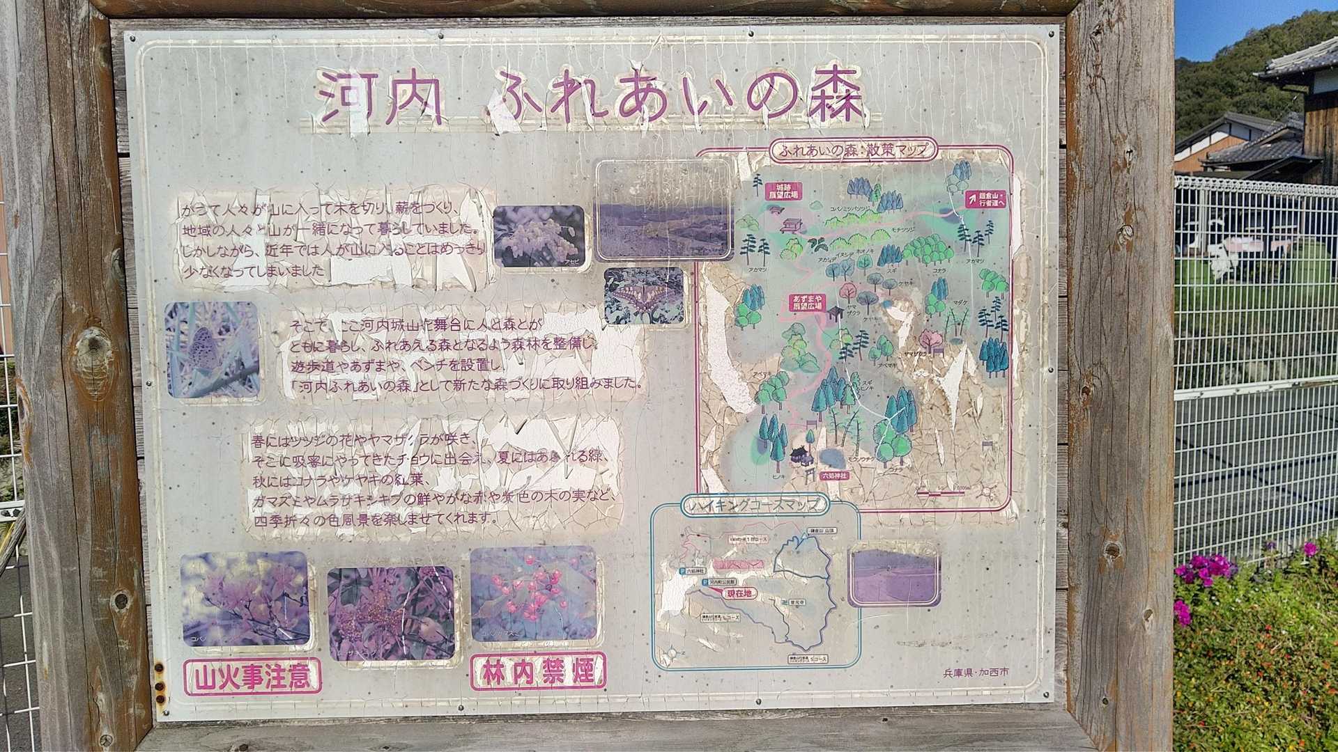 あら、ツーリングの時に見かける東屋の有るお山だったのですね