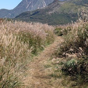 振り返ると三俣山