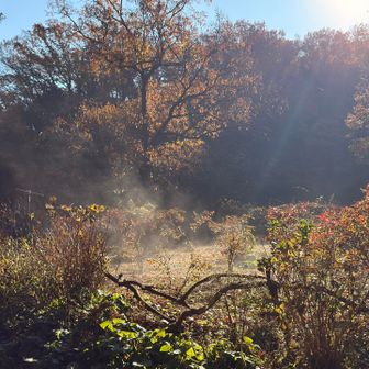 里山風景すごくいい🙂‍↔️