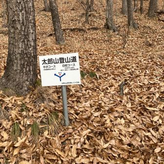 ロード歩きはつまらないので、白蛇コースで登り返して表参道に戻ります。