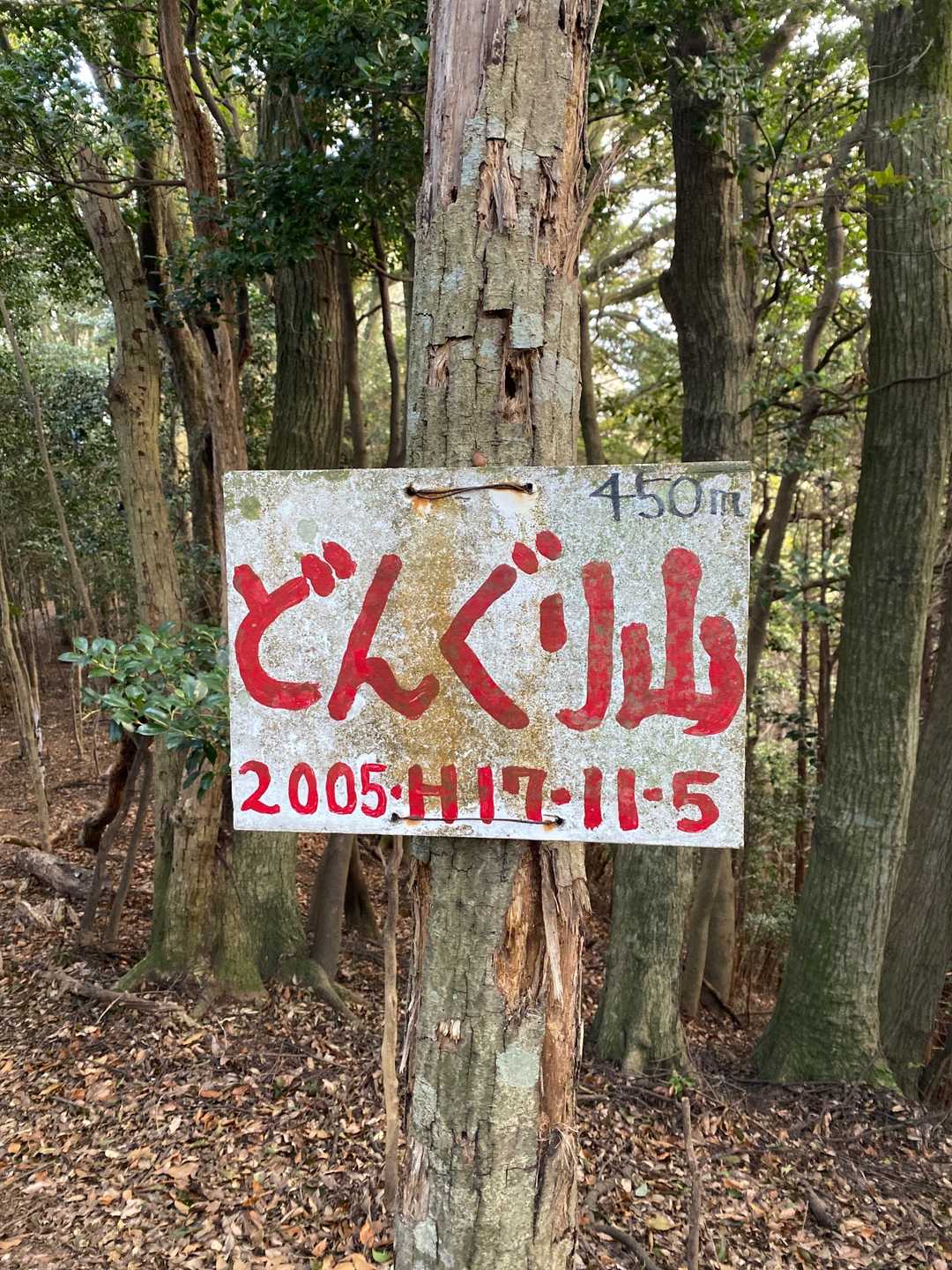 どんぐり山⛰どんぐりのお菓子とかないよねー？🤣
キノコ🍄と竹の子は、あるけど🤣