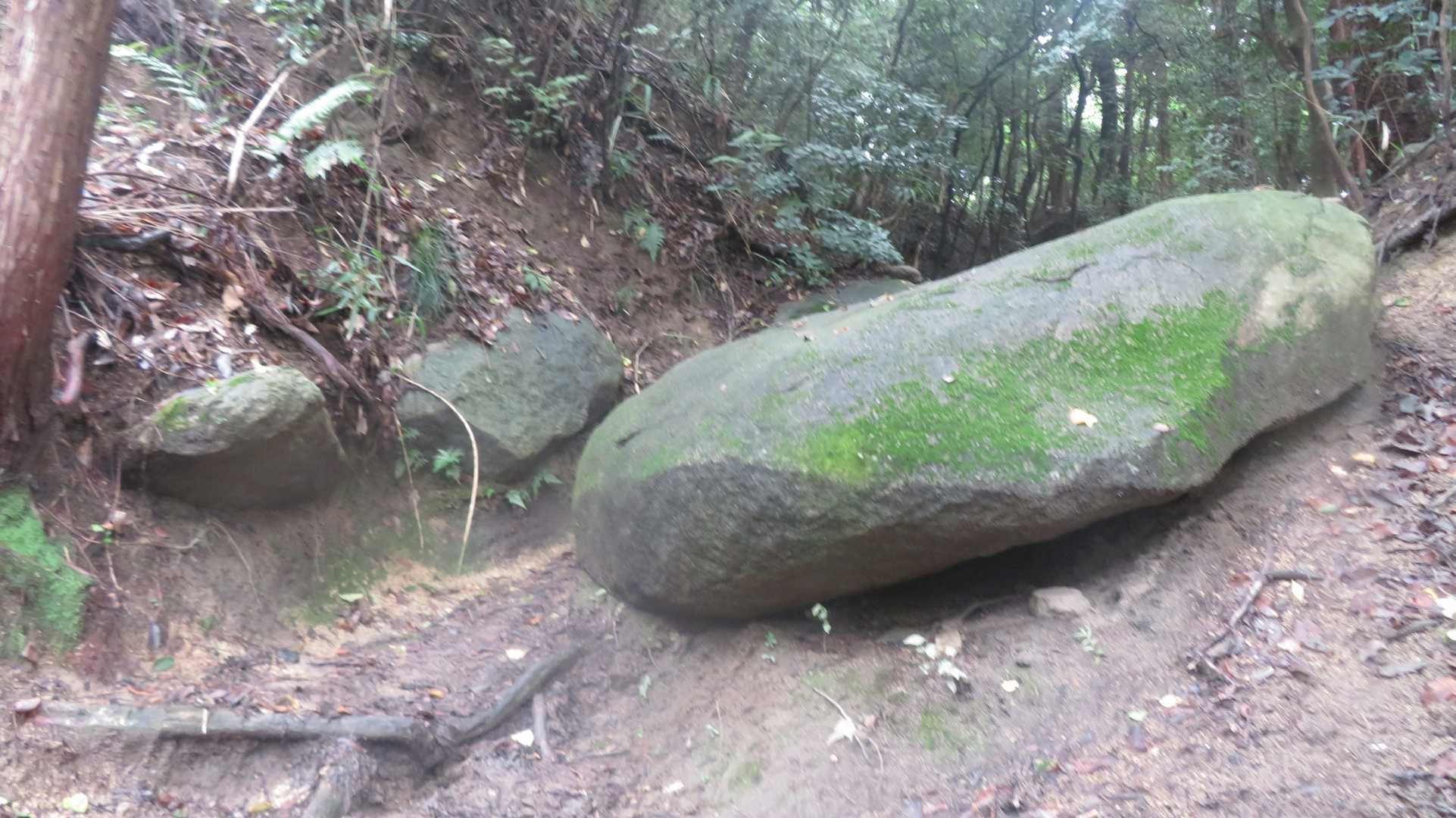 登山道はわかります