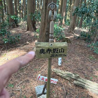 奥赤坂山/標高❼❼❼.❼m🚩ピークハント