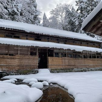 囲いも素敵です。