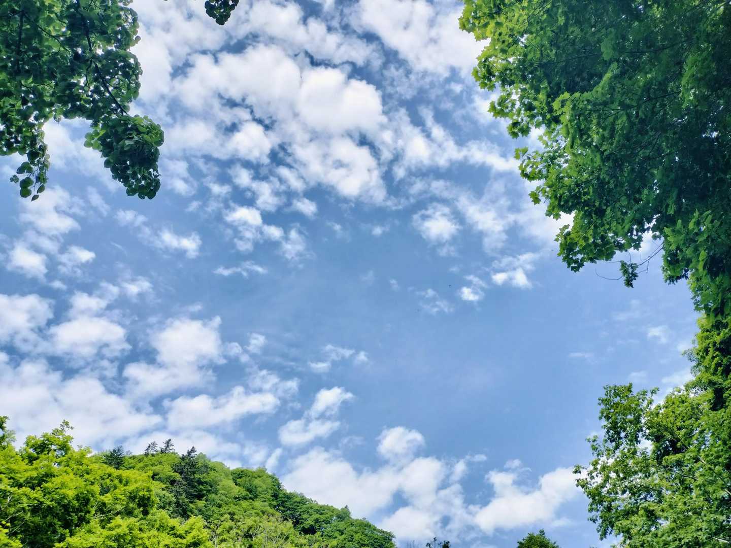 今日も晴天だよ！
スタート