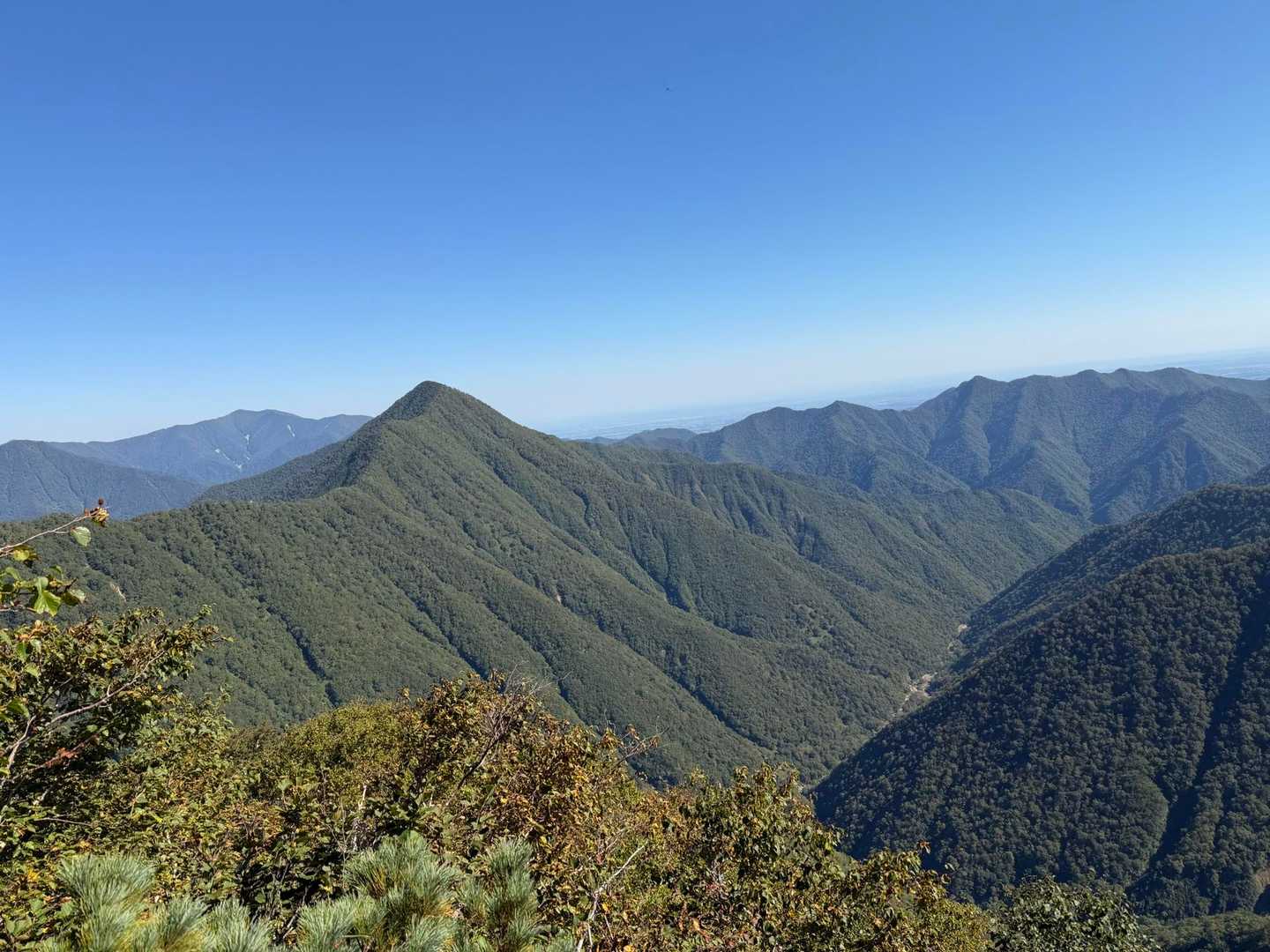 途中の景色