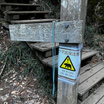 熊でますか？💦