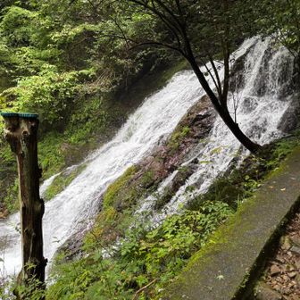 白岩の滝👀