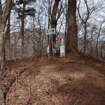 前回は右の尾根から左の尾根へ
守屋山まで行きたかったけどタイムオーバー！スタートが遅すぎました😅