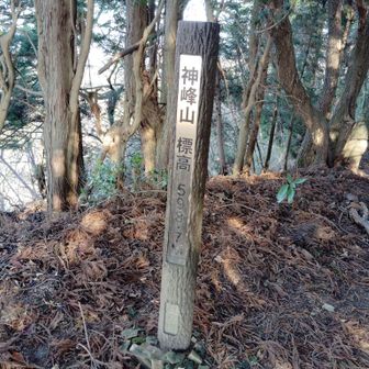 神峯山登頂しました。