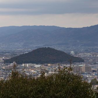 高いところから