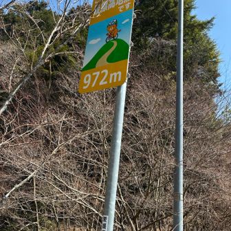 トンネルを抜けたところが本日コースの最高地点