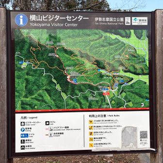 ここから、お散歩出発します🚶