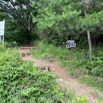 ゴンドラ🚡は県民優待が無くなったこともあり、今回初めて沢入登山口からスタート