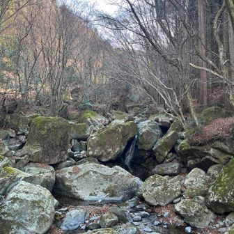 いい感じのボルダーがゴロゴロしてる