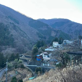 東京都とは思えない長閑な風景。