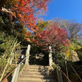 杉本寺の紅葉🍁
誰もおらず静かで落ち着いた空間でした