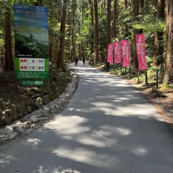 今日の目的は弥彦山です⛰️
前回来た時、行ってみたいと思ってました⛰️