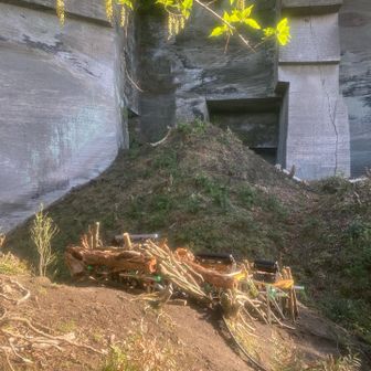 ラピュタの壁を下から照らすライト？すでにルートロス😅