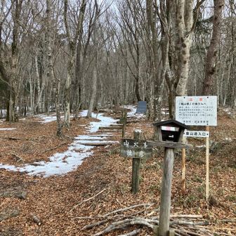 カウンター設置されてます